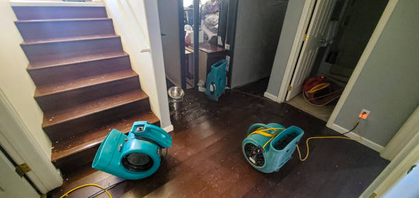 Professional Water damage restoration in MD