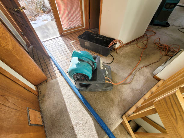 Best Mold removal after water damage  in Summerfield, MD