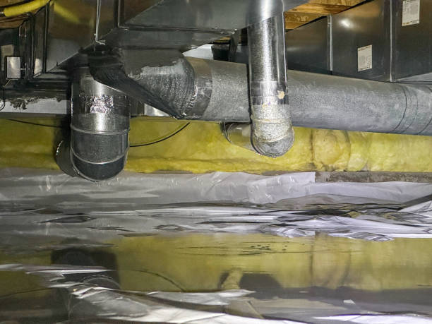 Best Water damage contractors near me  in Summerfield, MD