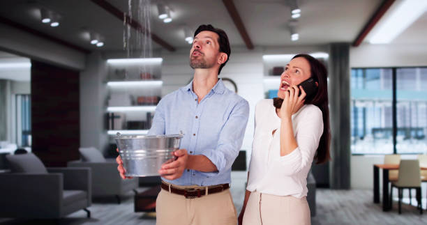 Best Local water damage restoration  in Summerfield, MD
