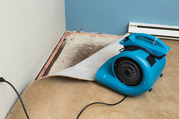 Best 24/7 water damage repair  in Summerfield, MD